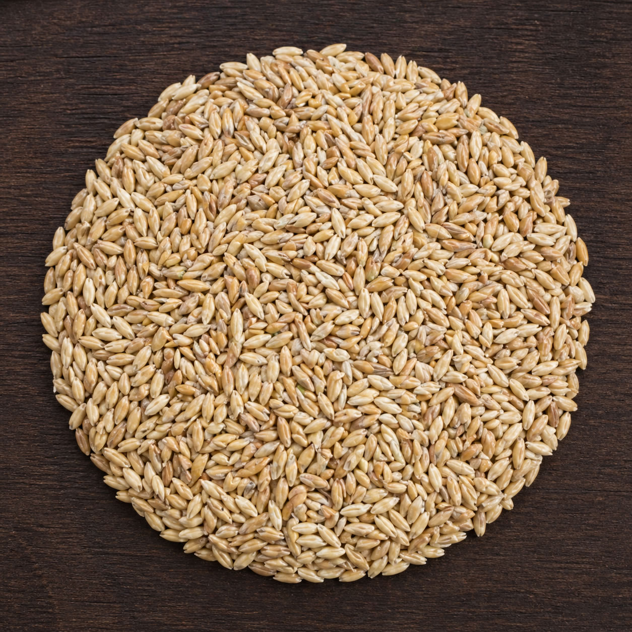 Canary seed