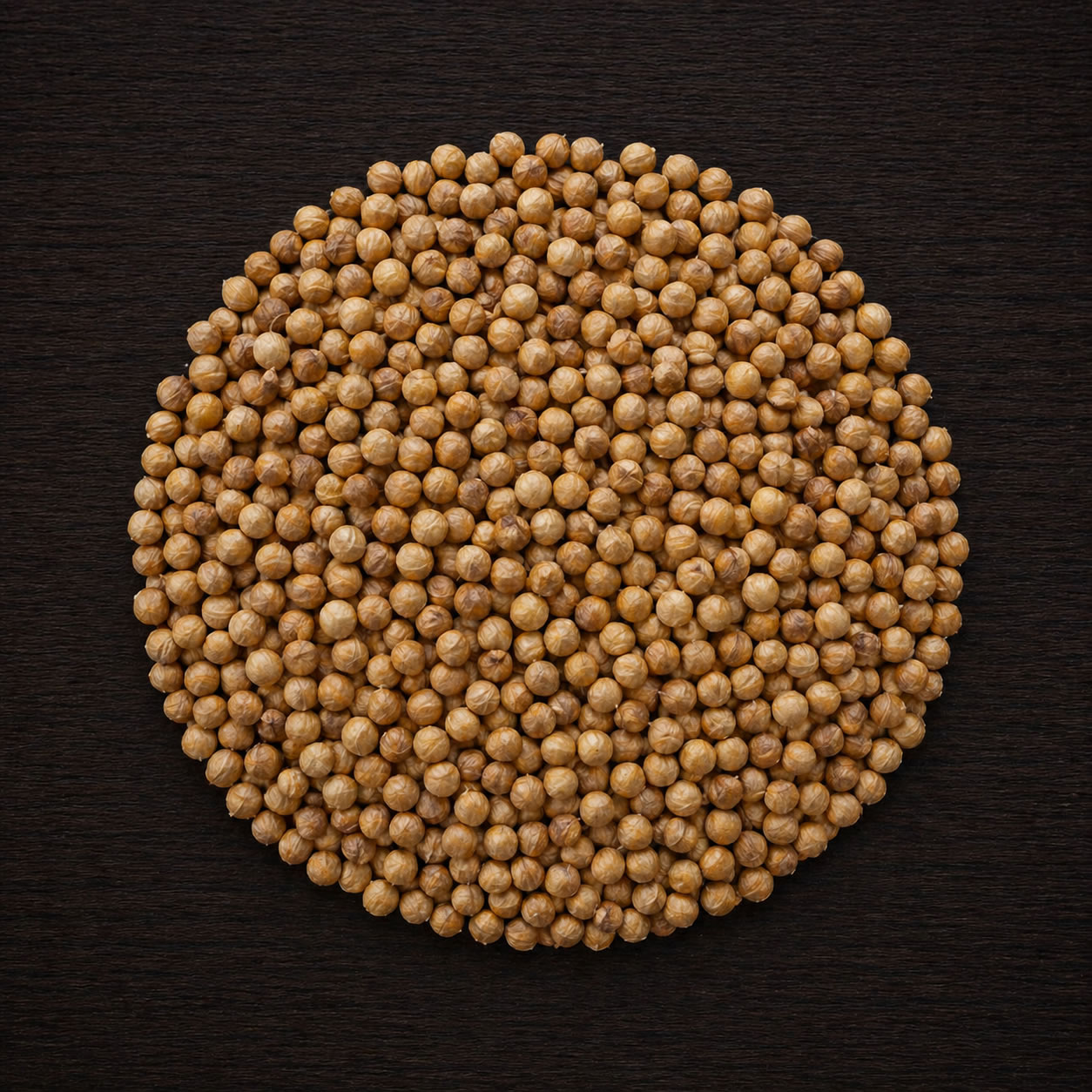 Coriander
