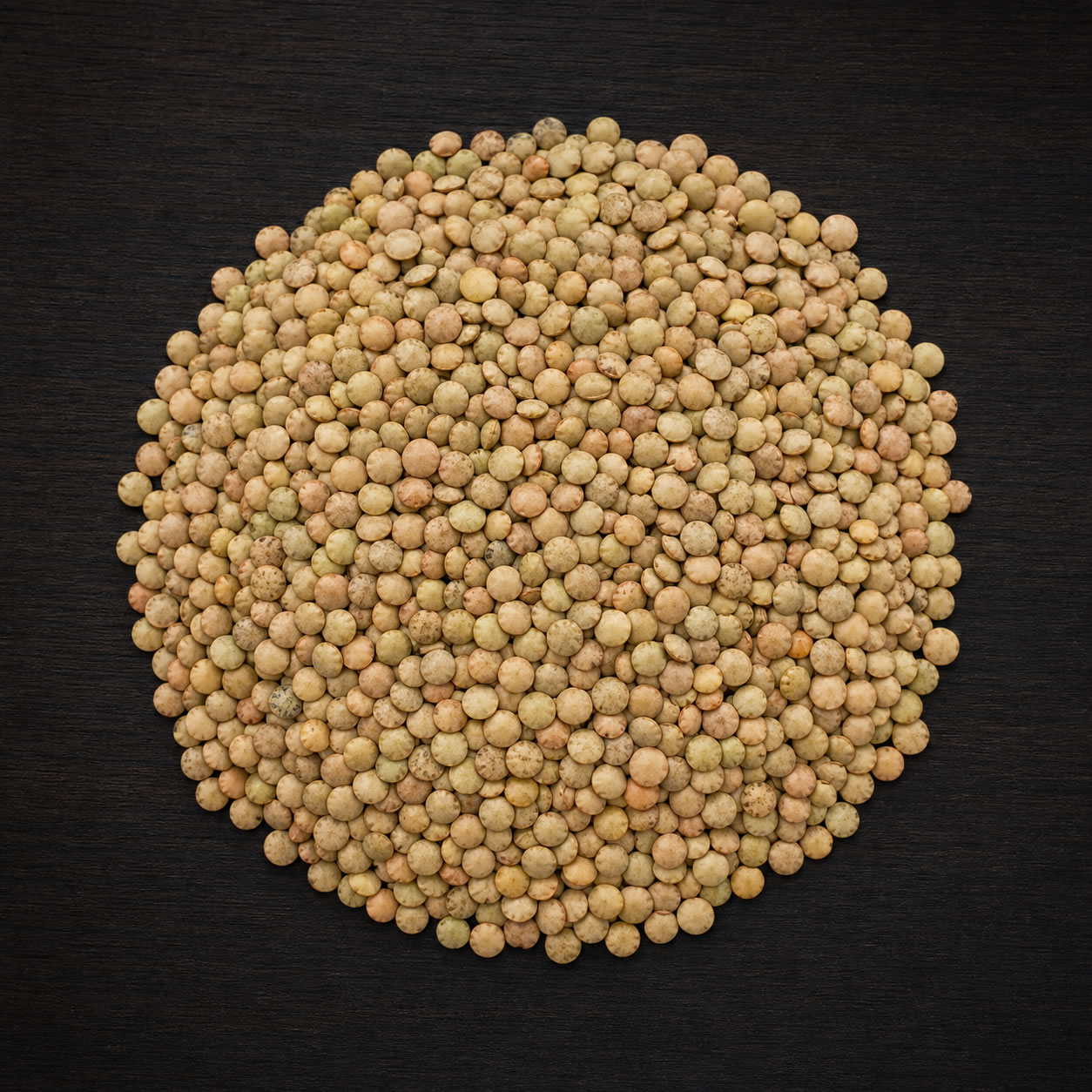 Lentils