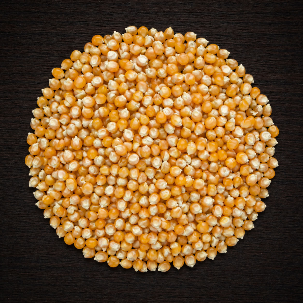 Popcorn corn