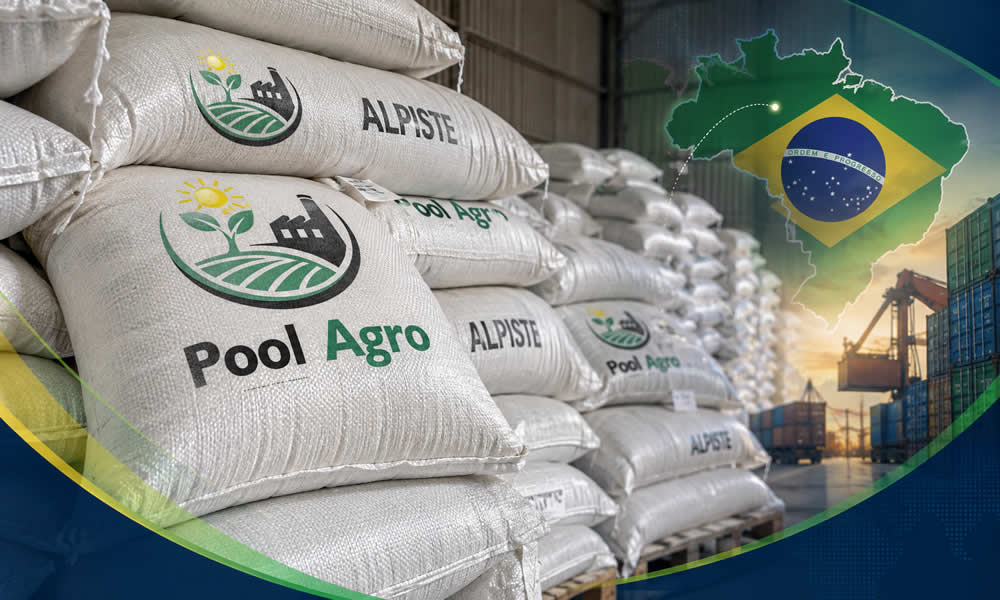 Pool Agroindustrial concret&oacute; una nueva exportaci&oacute;n de alpiste a Brasil