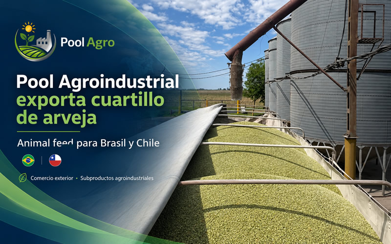 Pool Agroindustrial exporta cuartillo de arveja para alimentaci&oacute;n animal a Brasil y Chile